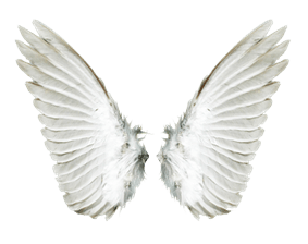 asas de anjo