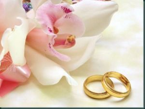 bodas-de-casamento--